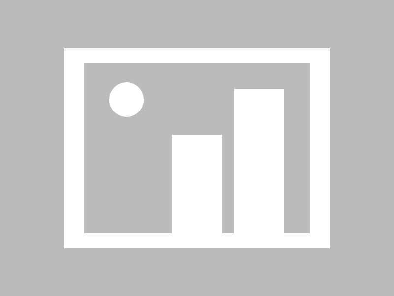 爱游戏体育平台-帕尔梅拉斯阵容齐整，劲旅全力以赴世俱杯争冠