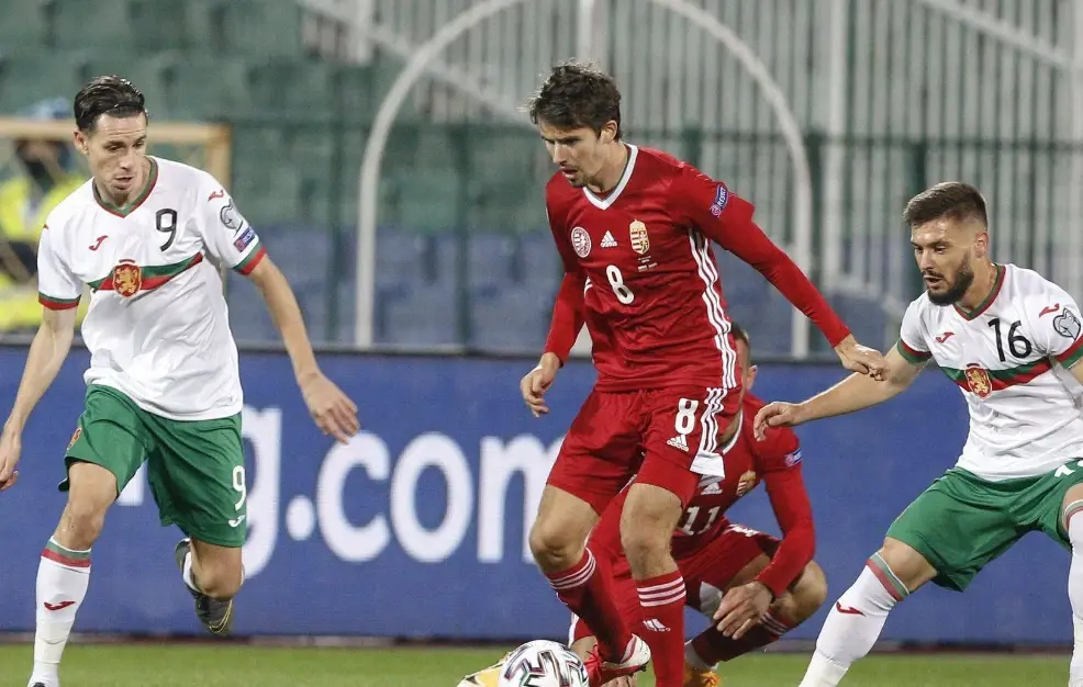 保加利亚迎战爱沙尼亚,谋求取胜机会的简单介绍 保加利亚迎战爱沙尼亚,谋求取胜机会的简单介绍